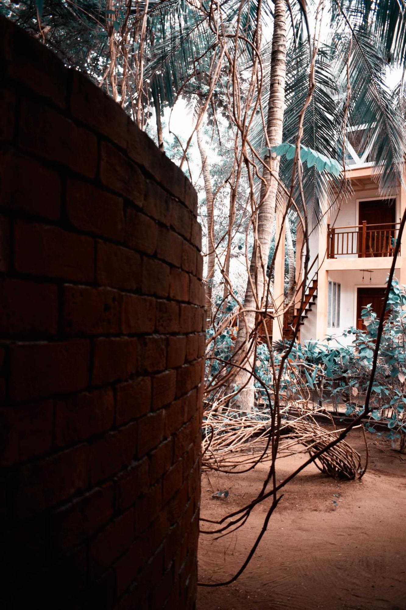 Surf N Sun - Arugam Bay Hotell Rom bilde