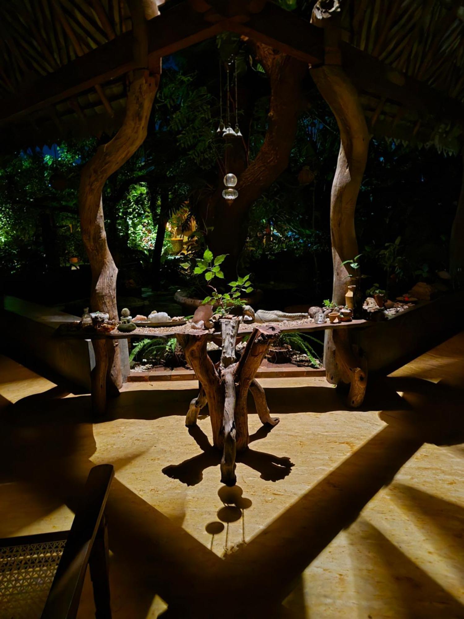 Surf N Sun - Arugam Bay Hotell Eksteriør bilde