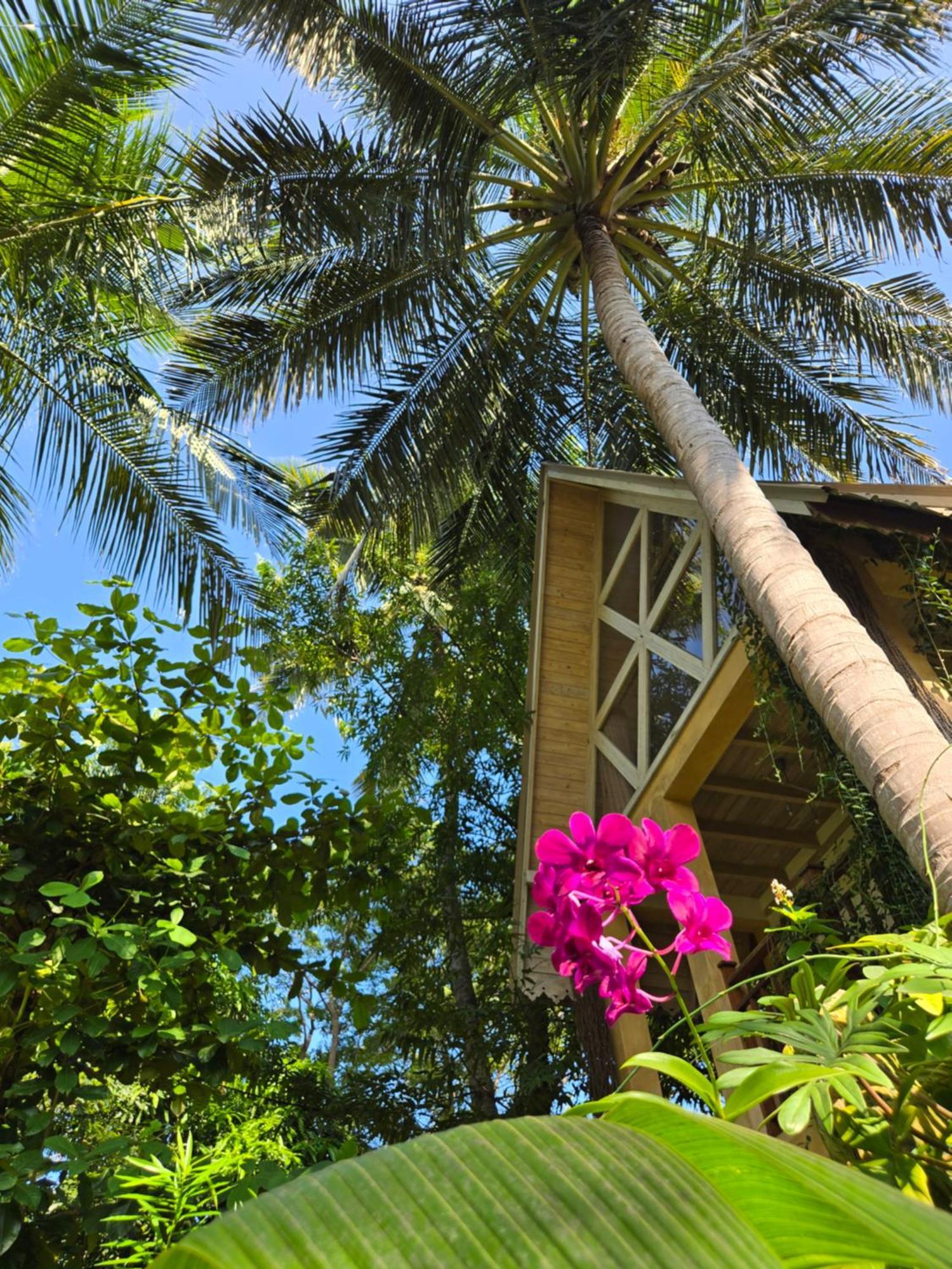 Surf N Sun - Arugam Bay Hotell Rom bilde