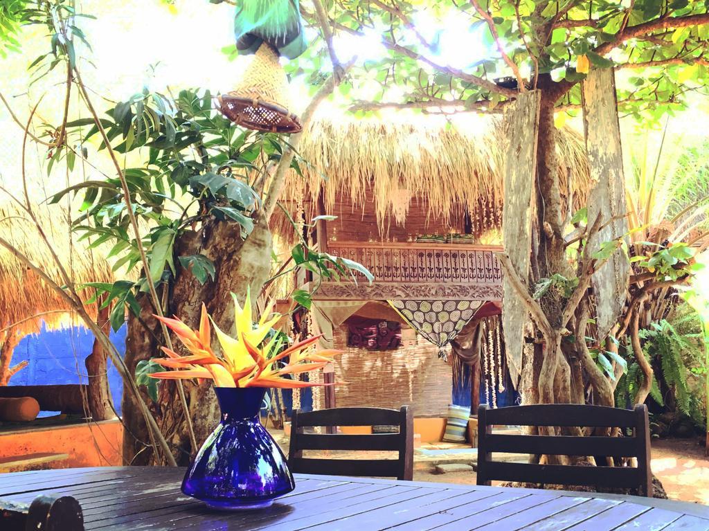 Surf N Sun - Arugam Bay Hotell Eksteriør bilde